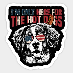 Bernese Mountain Dog Shirt Funny 4th of July Sticker